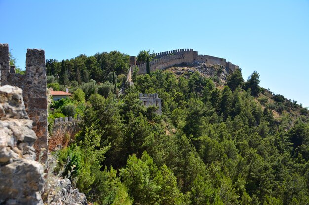 ancient brick medieval wall on top of mountain among pine trees in sunny day