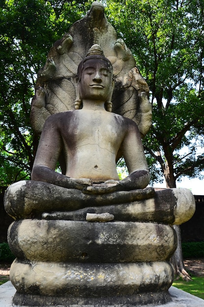 Ancient buddha attitude of meditation protected cover head by mythical serpent or antique Naga Prok for thai people visit praying of King Narai Ratchaniwet Palace at Lopburi city in Lop Buri Thailand