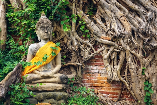 Ancient Buddha Statue with tree roots and brick wall background