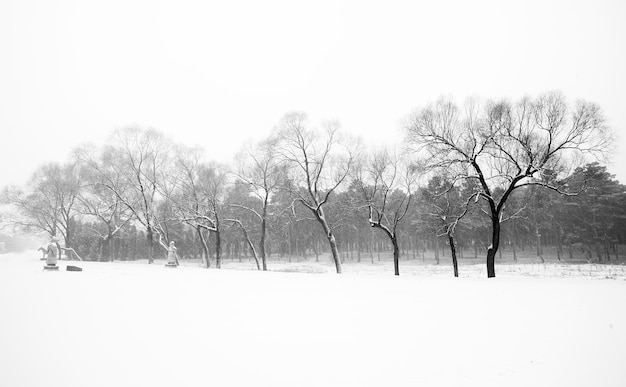 Ancient buildings in black and white snowy scenery