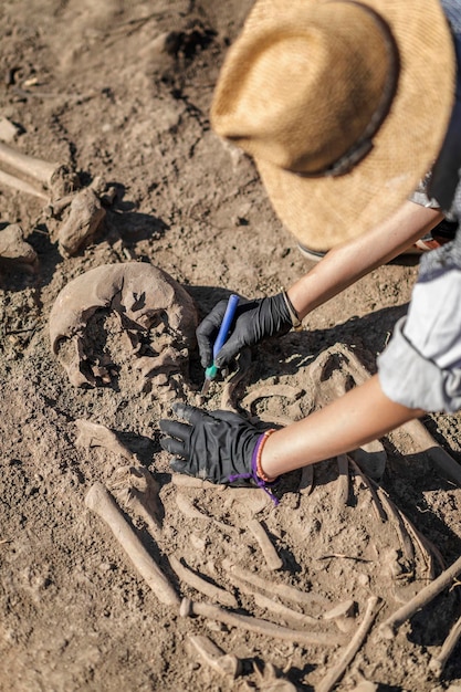 古代埋葬地の考古学的発掘調査