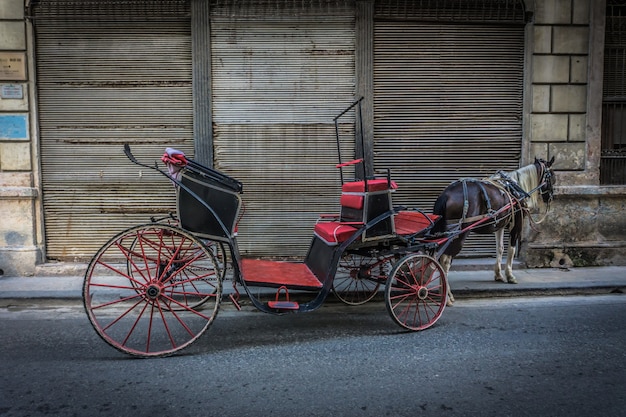 Ancient carriage on street with horse