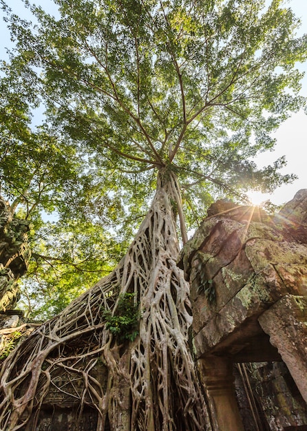 Ancient castle in Cambodia called Angkor Wat, Angkor Thom