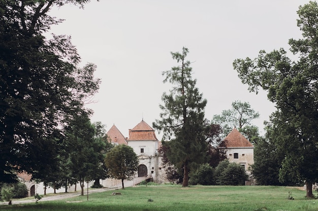 Foto antico castello circondato dalla natura vecchia fortezza del castello ucraino con cancello di metallo e torri