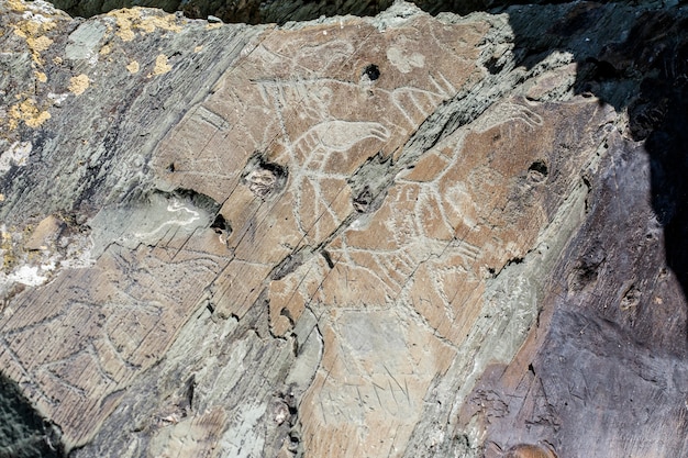 Ancient cave drawings and carving, petroglyphs on wall. Siberia, Russia