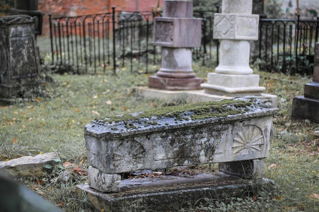 Foto lapide antica del cimitero ricoperta di muschio