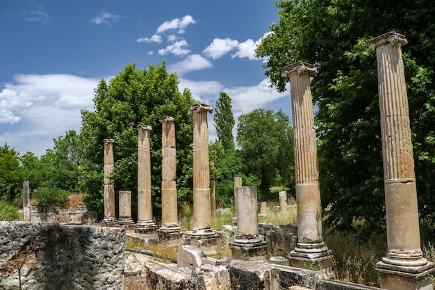 Ancient city of Aphrodisias, Aydin / Turkey. Travel concept photo.