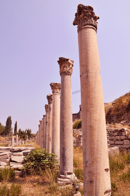 写真 エフェソス市の古代の柱