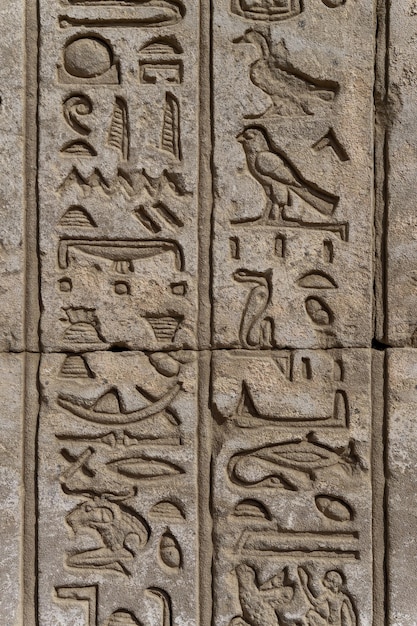 Ancient egypt hieroglyphics on wall