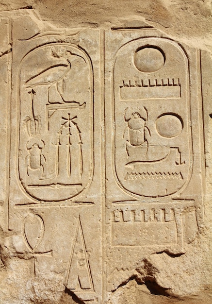 Photo ancient egypt hieroglyphics on wall