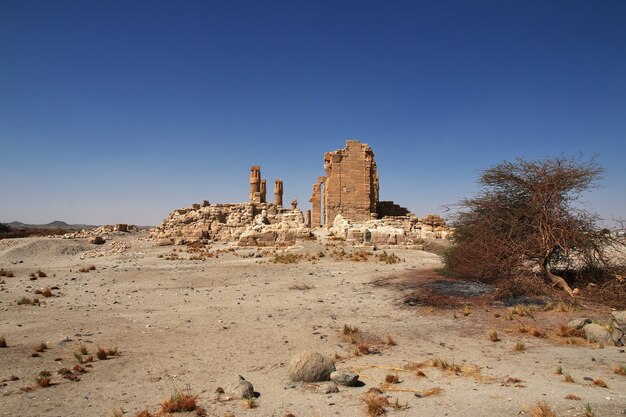 Antico tempio egizio di tutankhamon sull'isola di soleb, sudan, nubia