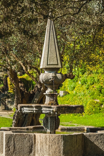 Ancient fountain