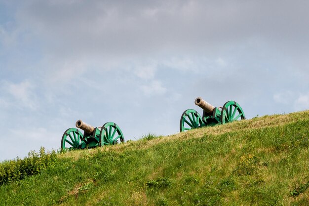 Photo the ancient guns stand on the mountain