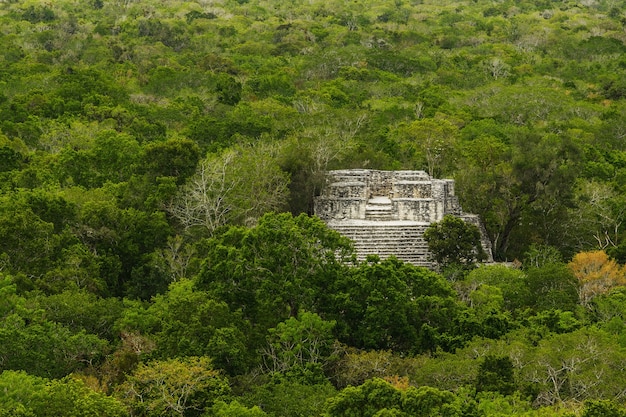 Ancient Mayan pyramid in the green jungle