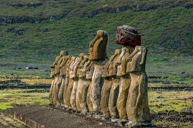 The ancient moai of Ahu Togariki on Easter Island