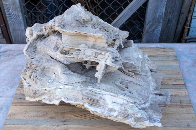 Ancient old petrified wood excavation minerals as nice background Narrow focus line shallow depth of field macro