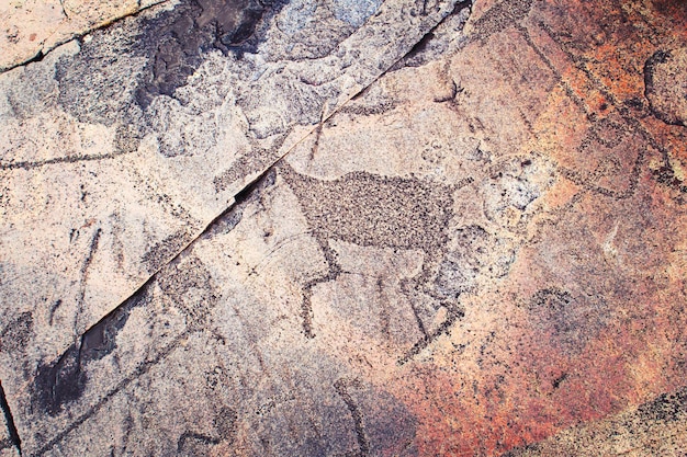 Ancient petroglyphs on the shores of Lake Onega. Carved on a granite slab. Cape Besov Nos, Karelia, Russia - August 15, 2021.