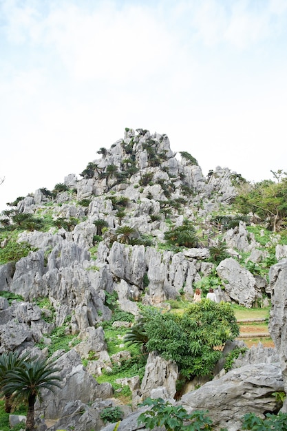 写真 沖縄本島大石林山公園の古代の岩山と青い空