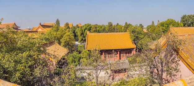 Ancient royal palaces of the Forbidden City in BeijingChina