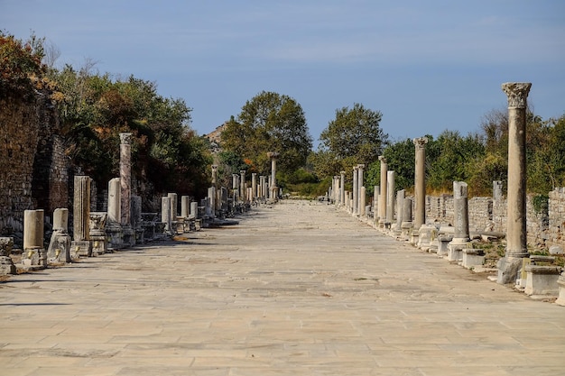 터키 에베소 도시의 고대 유적