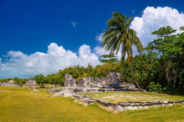 Ancient ruins of Maya in El Rey Archaeological Zone near Cancun Yukatan Mexico