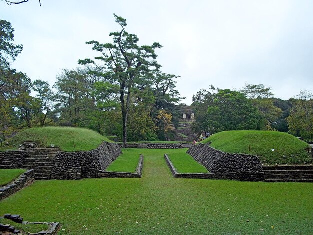 マヤ パレンケ メキシコの古代遺跡