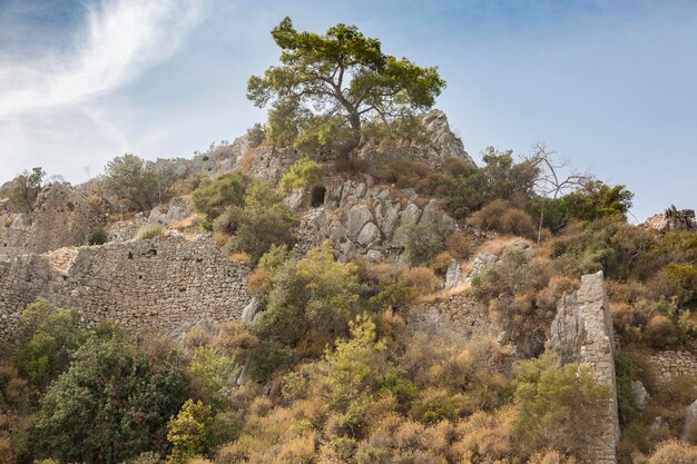 Cirali 마을 근처 터키의 올림포스(Olympos) 오래된 버려진 도시 고대 유적