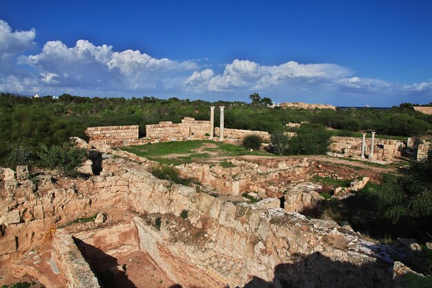 北キプロスの古代遺跡サラミス