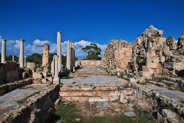 Antiche rovine salamina, cipro del nord