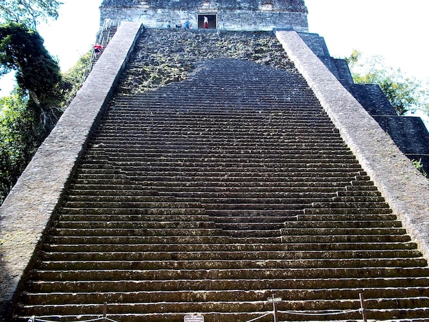 Antiche rovine a tikal, guatemala