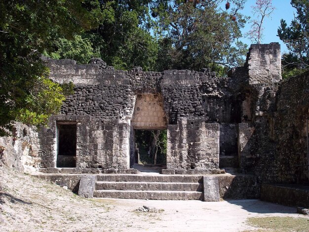 Ancient ruins in Tikal, Guatemala