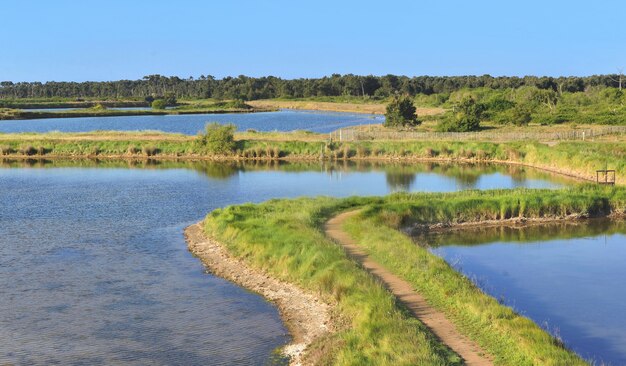 Ancient seawater ponds for oyster farming and path in meadow