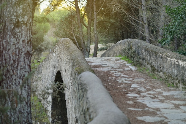 Ancient solitary stone bridge in the forest at sunrise