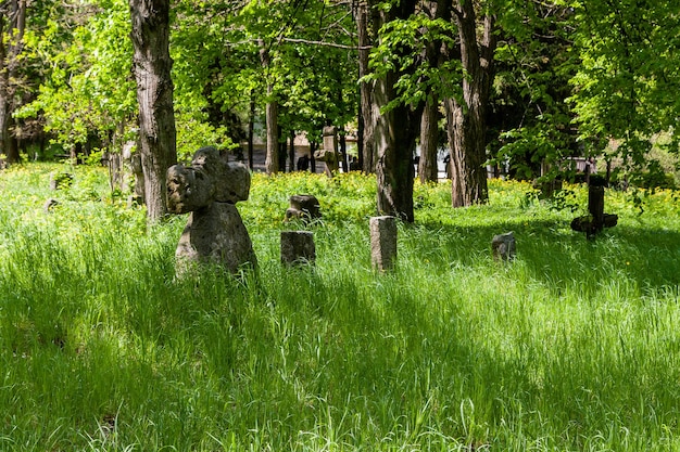 Photo ancient stone crosses