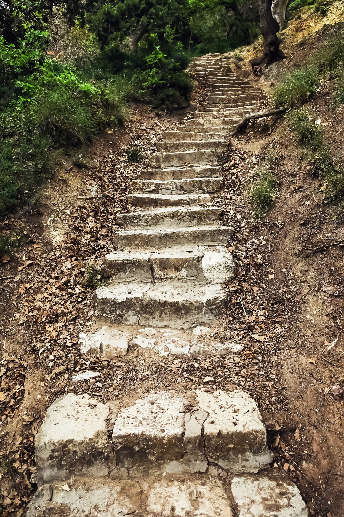 Steep Stone Steps Going Up Into A Mountain Background, Stairs, Ancient  Architecture, High Resolution Background Image And Wallpaper for Free  Download