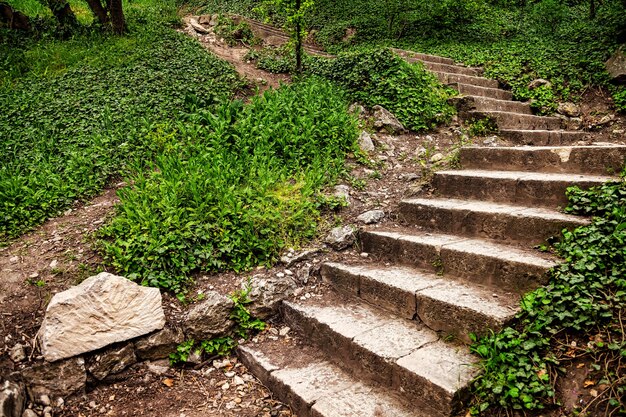 丘陵公園の古代の石の階段の歩道。苔で覆われた山の岩の階段。サイトや高解像度の壁紙の居心地の良い背景。旅行、観光、冒険の概念。コピースペース