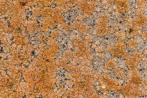 Ancient stone surface