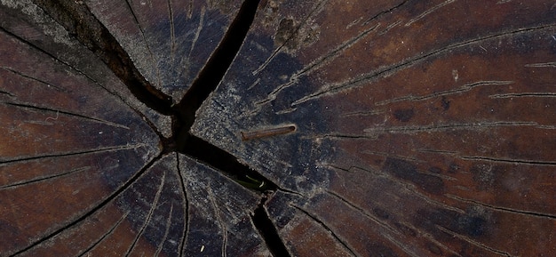 Foto fondo di legno strutturato antico