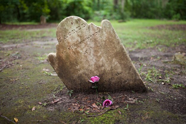 Photo ancient tombstone with room for name