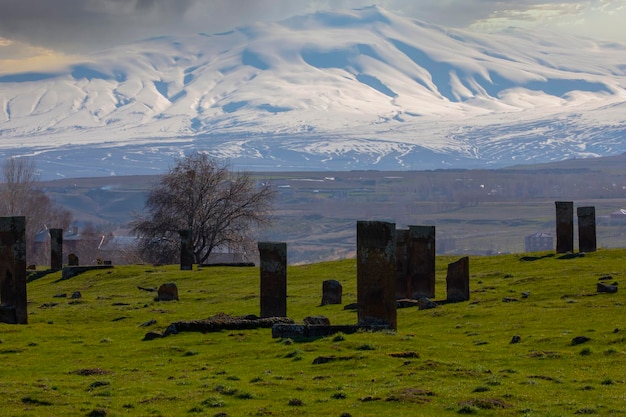 Ahlat 마을에 있는 12세기 Selcuk Turks의 역사적인 묘지에 있는 고대 묘비