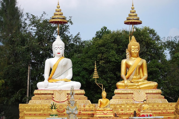 Ancient white buddha figure and antique gold buddha statue for thai people and foreign travelers travel visit and respect praying blessing holy deity angel god worship at Chumphon province Thailand