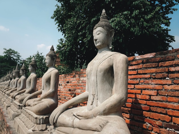 Ancient white buddha statues with brick pagoda surface background in Ayuthaya, Thailand