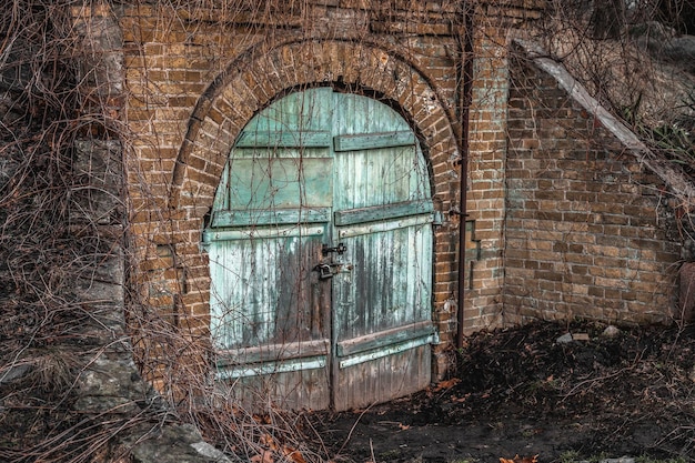 Ancient wooden gate in a brick wall Old door hidden under the ivy