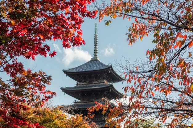 秋の古代木造日本寺院の葉の庭