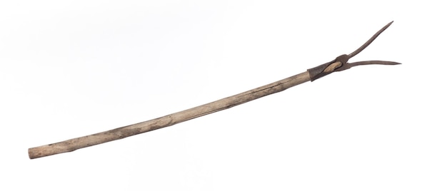 ancient wooden spear