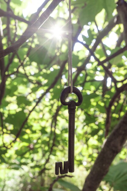 Ancient wrought iron key hanging between branches.