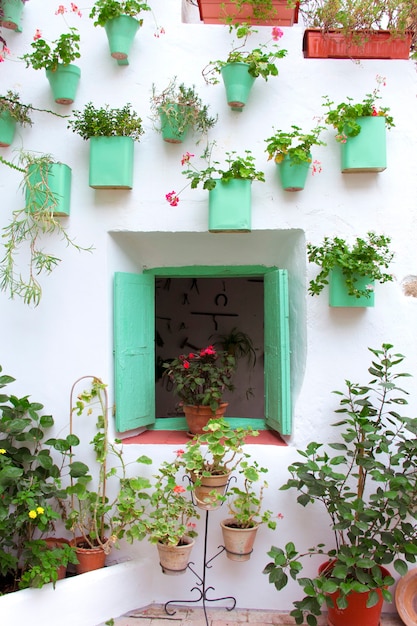 Andalusische patiogevel met houten raam versierd met potten en hangplanten. Cordoba, Andalusië, Spanje.