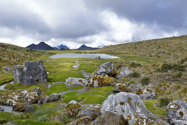 Andean landscape with bofedales in the mountain range