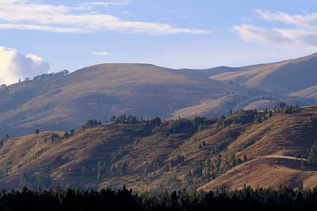 Andes landschap