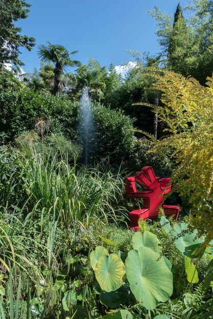 Foto giardino botanico andre heller